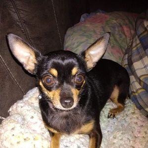 Meet your Posher, Carla